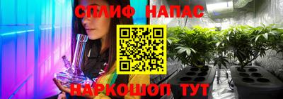 прущие крисы Абакан