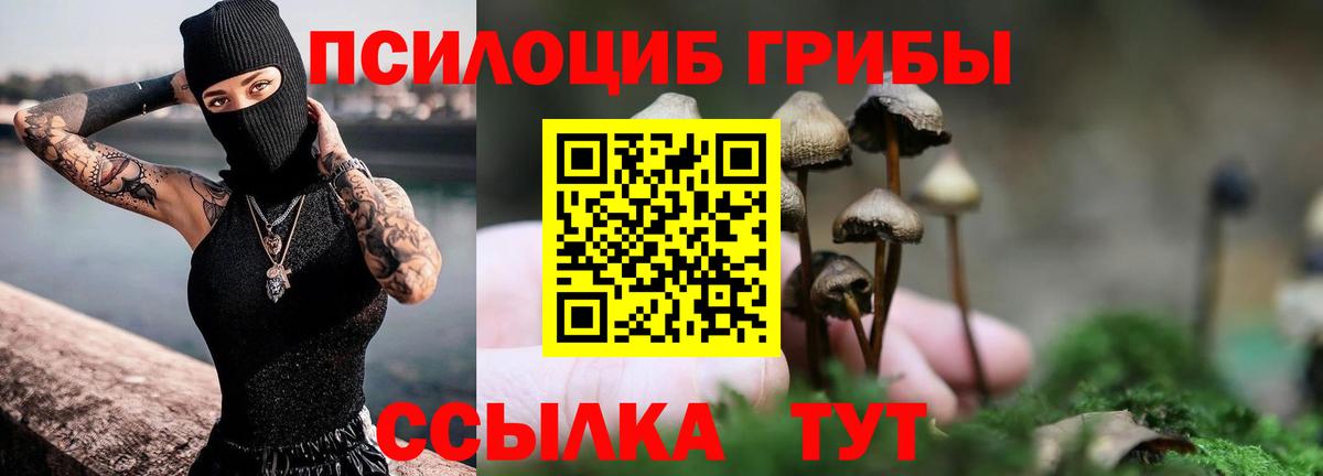 Псилоцибиновые грибы прущие грибы Гурьевск
