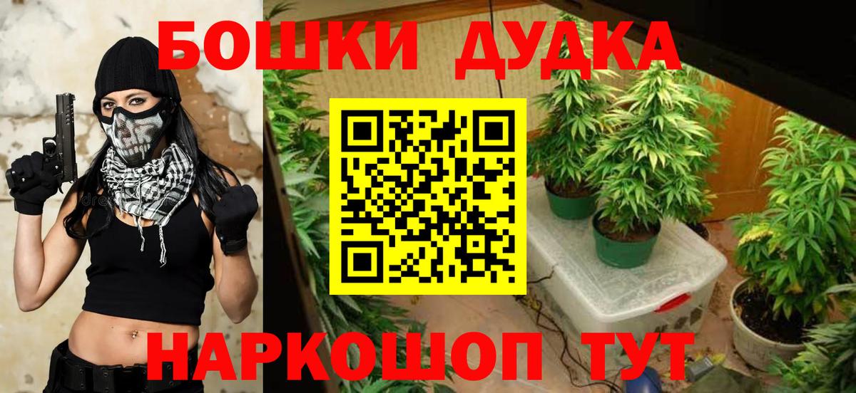 Шишки марихуана семена  Бошки марихуана гибрид  Шишки марихуана OG Kush  Вход с VPN  Гурьевск 